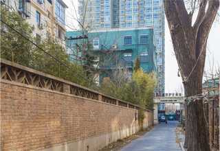 舟山野生茶树菇干货加工批发