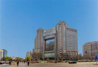 沂源县厂区树木养护公司